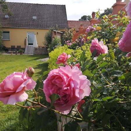 Strandhaus Mariflor Brook Buitenkant foto