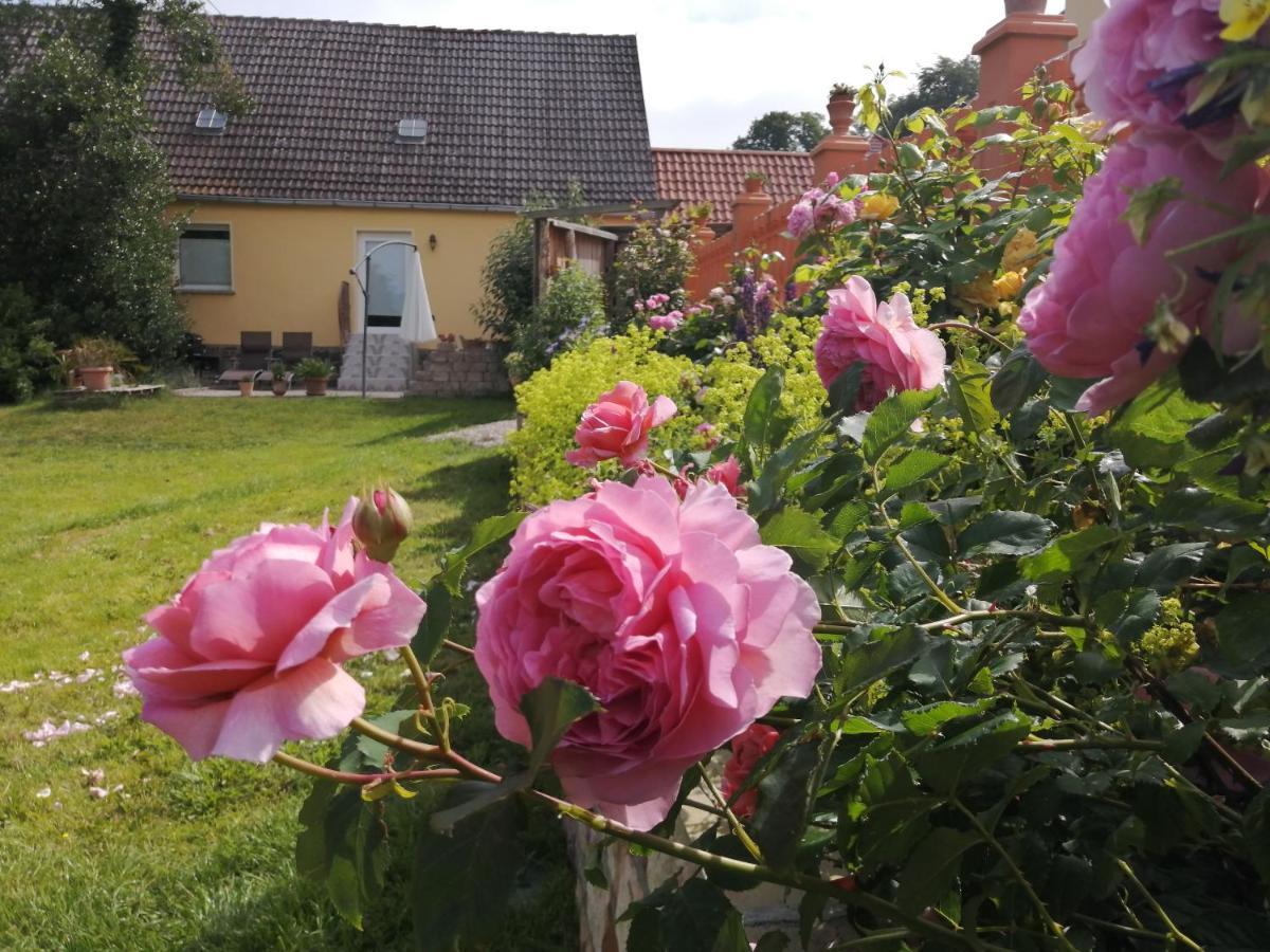 Strandhaus Mariflor Brook Buitenkant foto